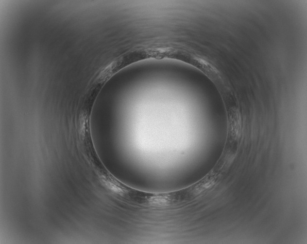 X0000058120574200509231055