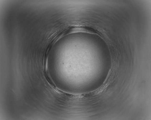 X0000058120576200509231055