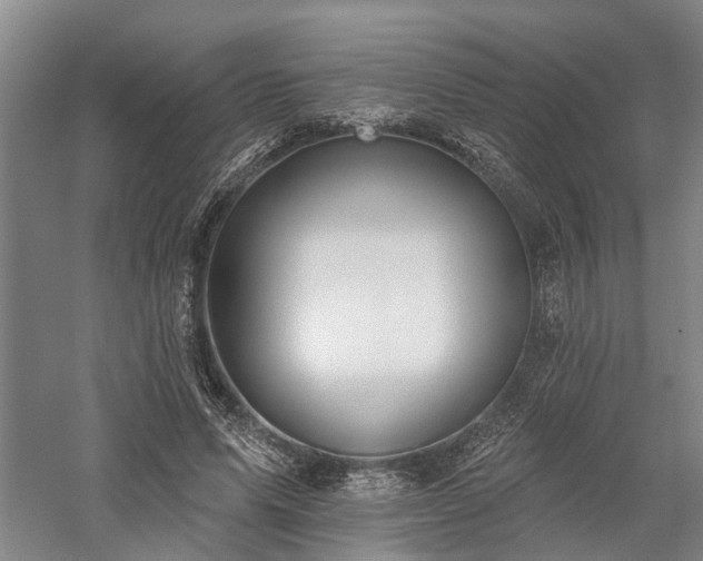 X0000058120591200509231054