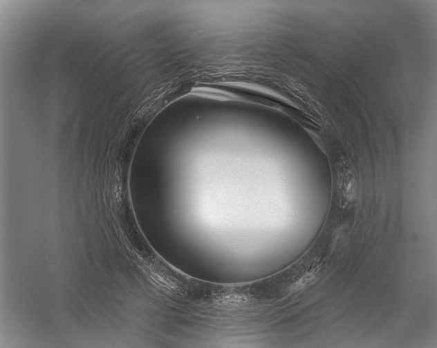 X0000058120593200509231054