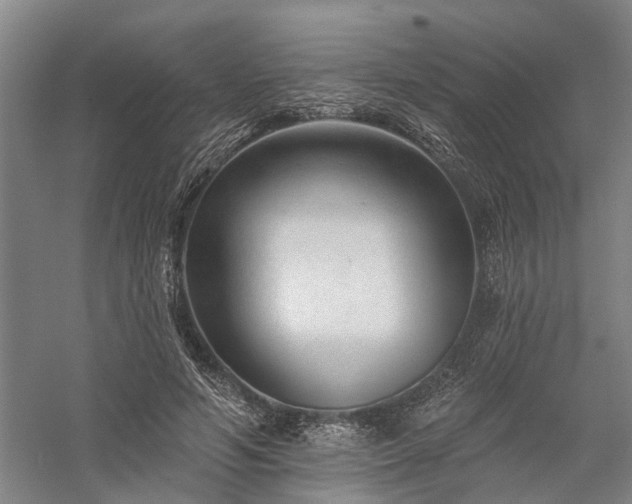 X0000058120594200509231054