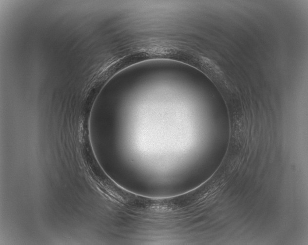 X0000058120596200509231054
