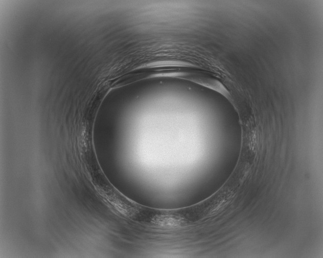 X0000058120597200509231054