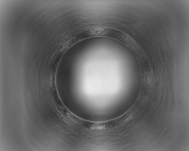 X0000058120602200509231054