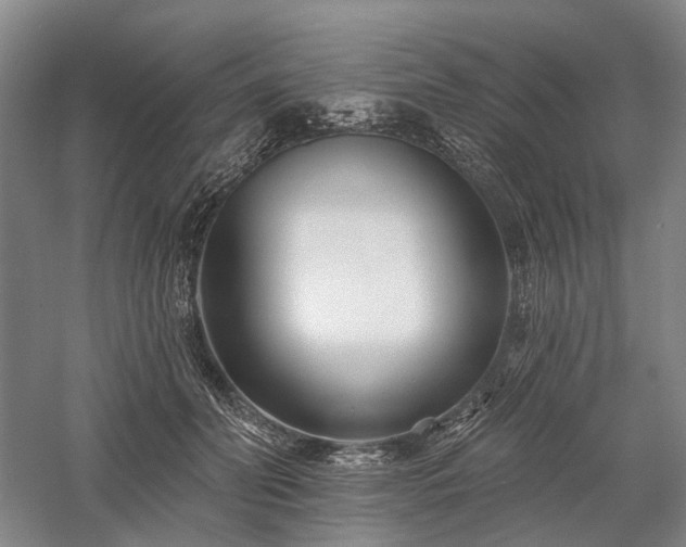 X0000058120606200509231054