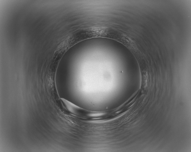 X0000058120613200509231054