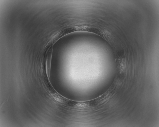 X0000058120619200509231054