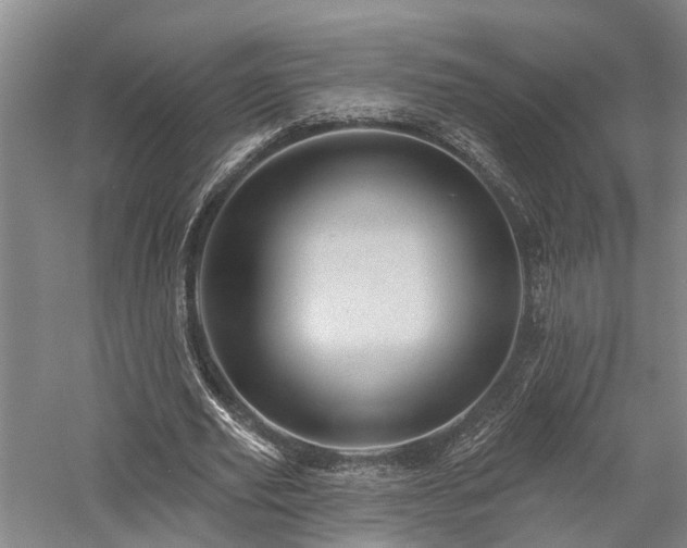 X0000058120629200509231053