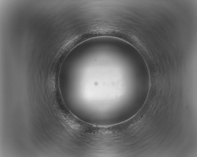 X0000058120640200509231053
