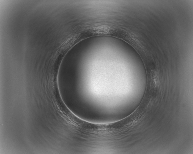 X0000058120641200509231053
