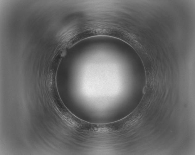 X0000058120645200509231053