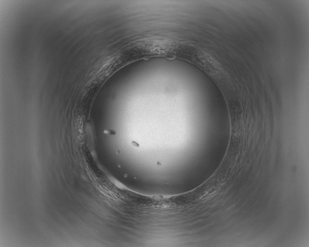 X0000058120646200509231053