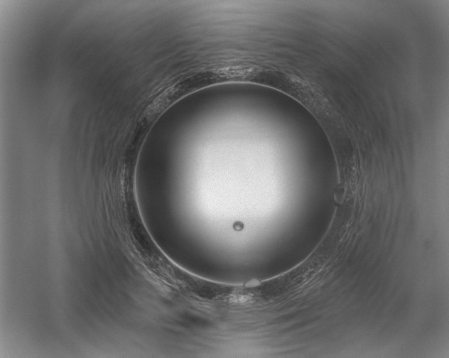 X0000058120647200509231053