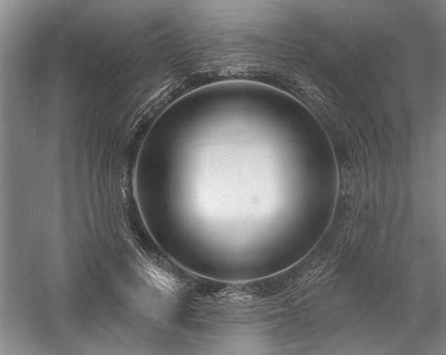 X0000058120648200509231053