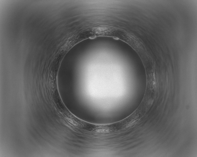 X0000058120653200509231053