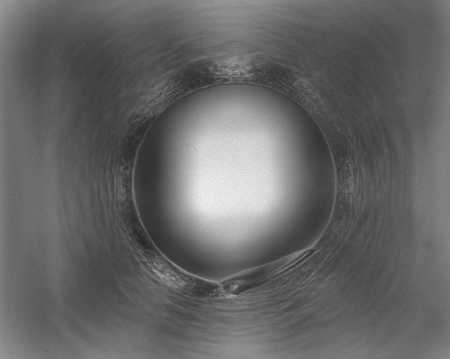 X0000058120658200509231054