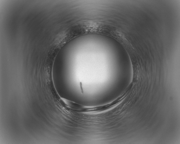 X0000058120661200509231054