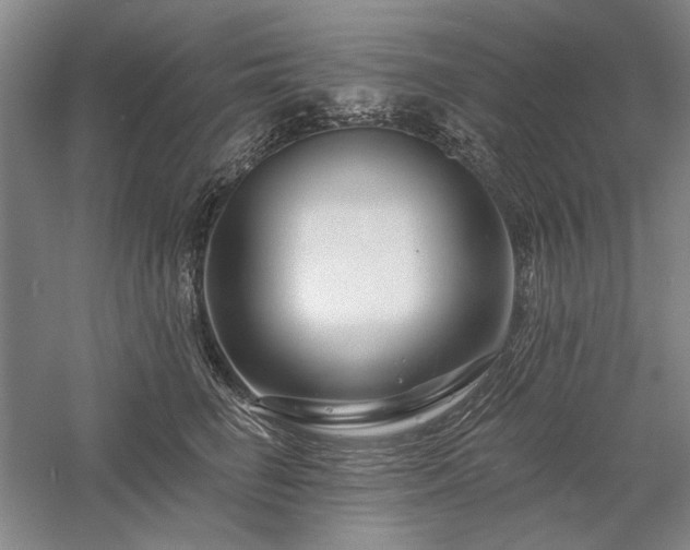 X0000058120662200509231054