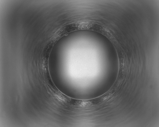 X0000058120663200509231054