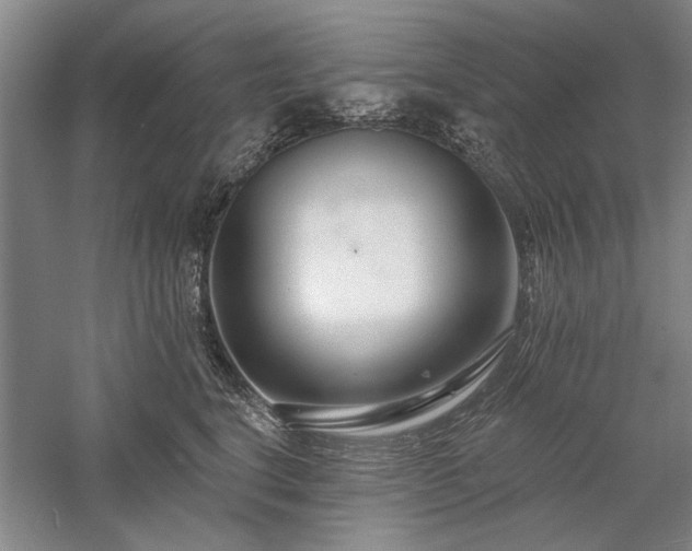 X0000058120664200509231054
