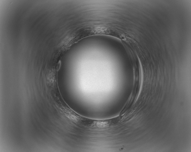 X0000058120665200509231054