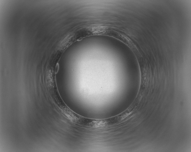 X0000058120667200509231054