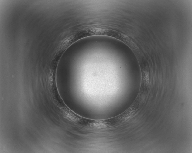 X0000058120668200509231054