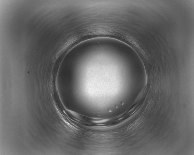 X0000058120677200509231053