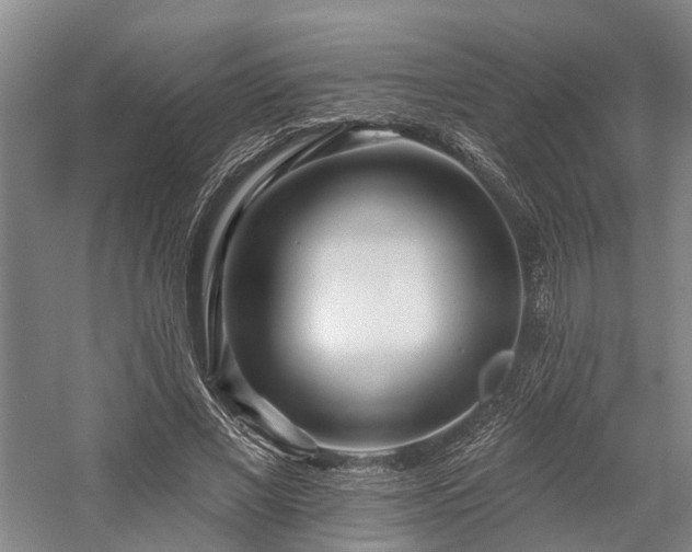 X0000058120685200509231053