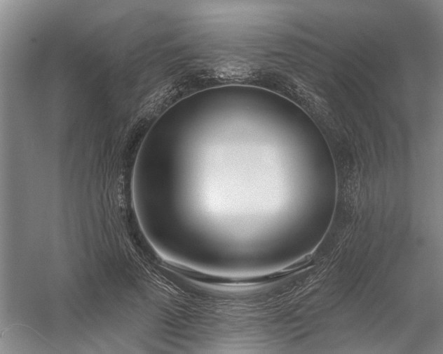 X0000058120689200509231053