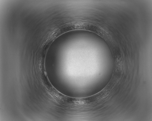 X0000058120698200509231053