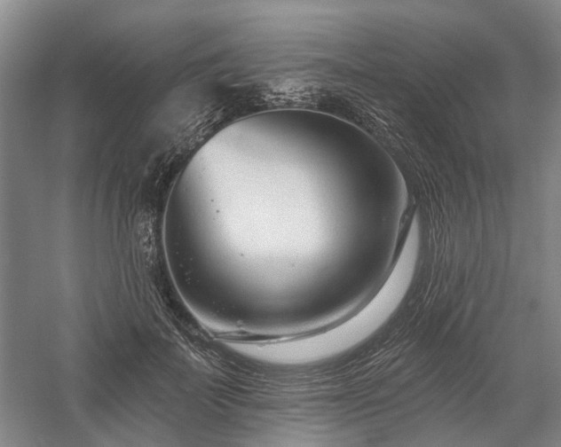 X0000058120699200509231052