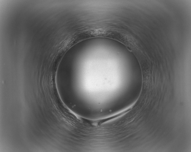 X0000058120700200509231052