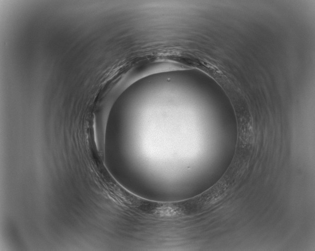 X0000058120704200509231052