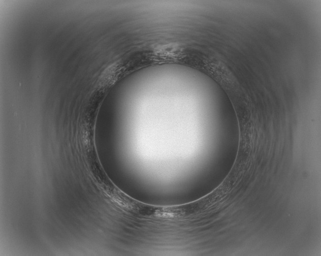 X0000058120706200509231052