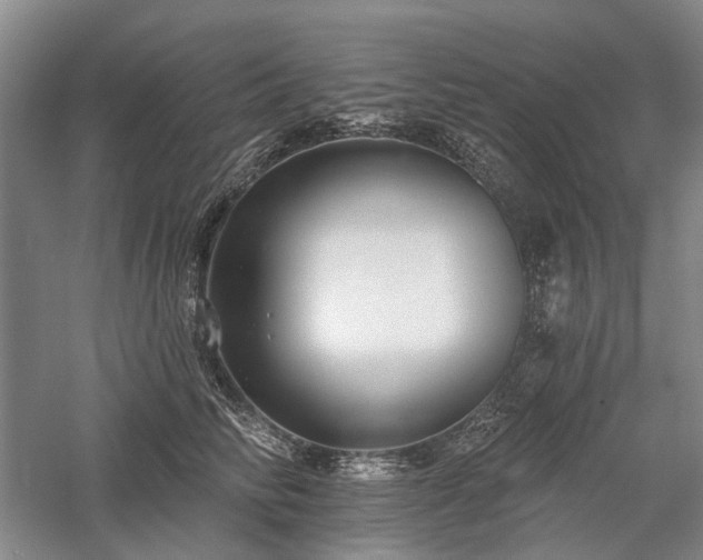 X0000058120710200509231052