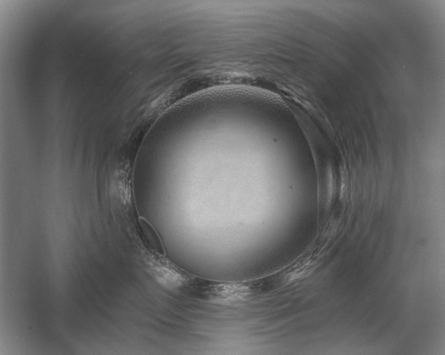 X0000058120719200509231052