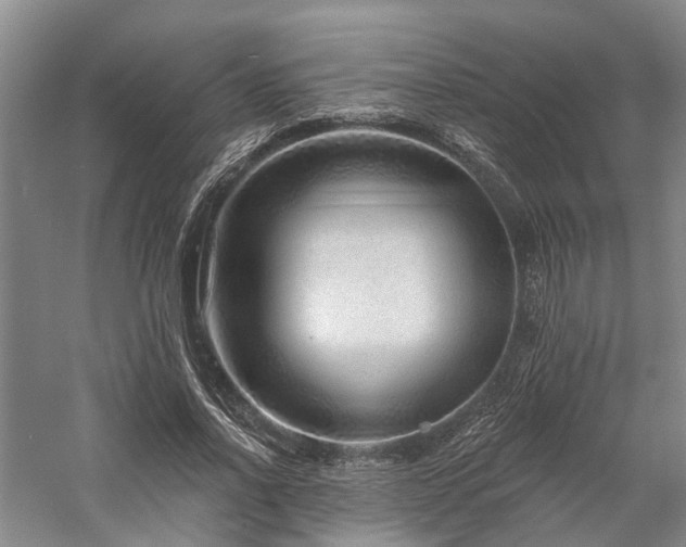 X0000058120734200509231052