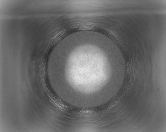 X0000058120741200509231052