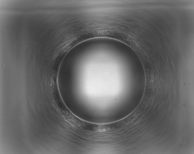 X0000058120746200509231052