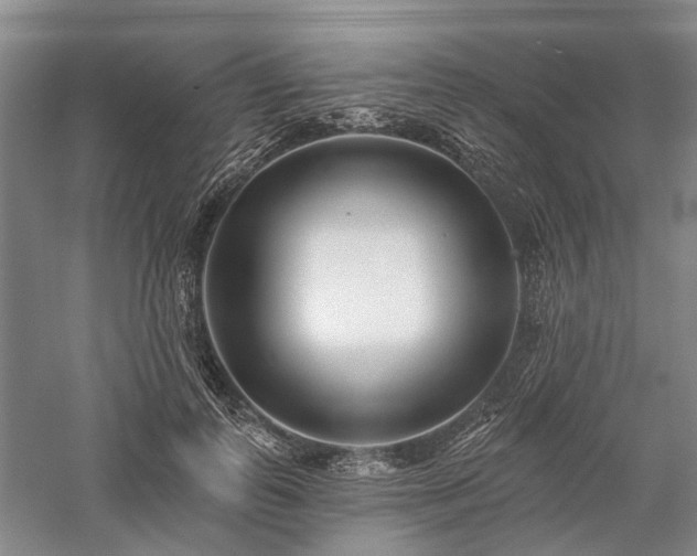 X0000058120747200509231052