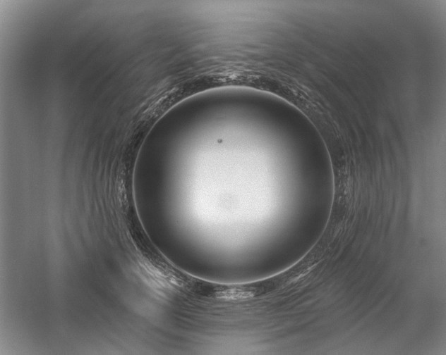 X0000058120754200509231052