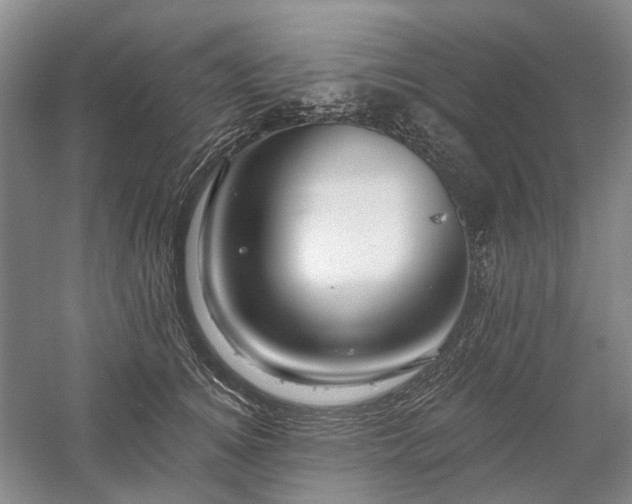 X0000058120756200509231052