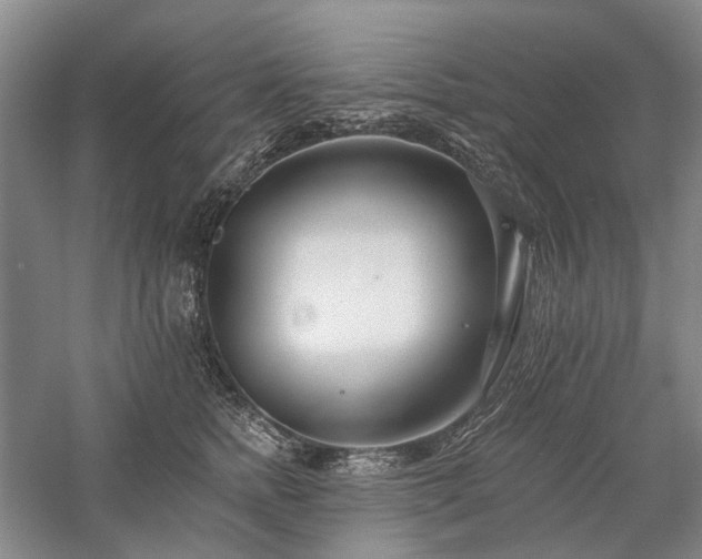 X0000058120758200509231052