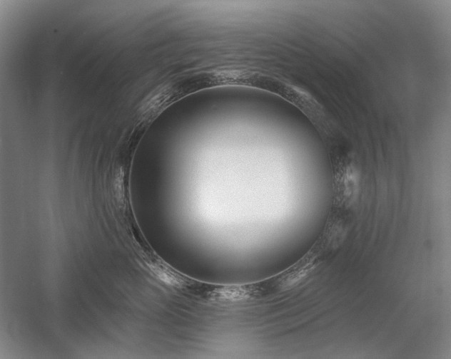 X0000058120765200509231052