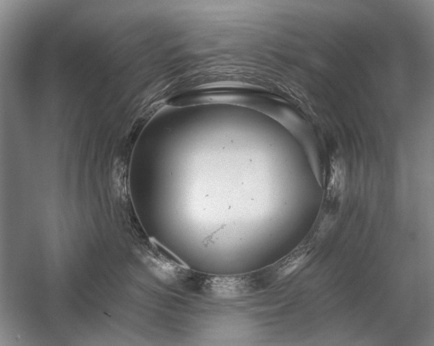 X0000058120766200509231052