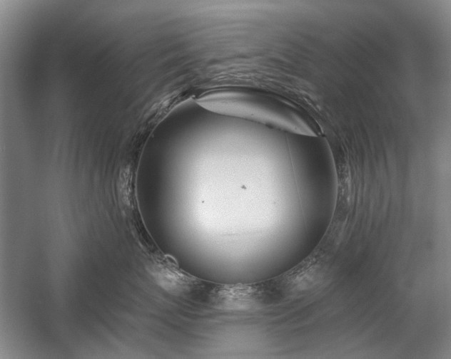 X0000058120767200509231052