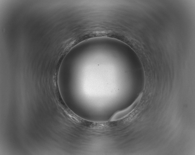 X0000058120768200509231052