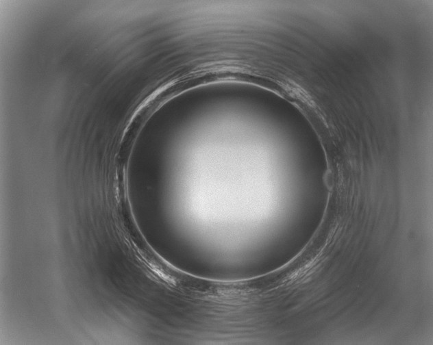 X0000058120782200509231051