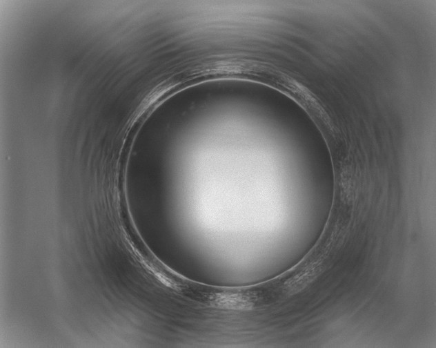 X0000058120794200509231051